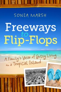 FINAL BOOK COVER Small 432x648