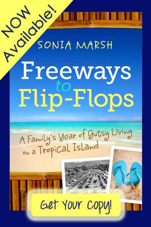 Freeways to Flip-Flops